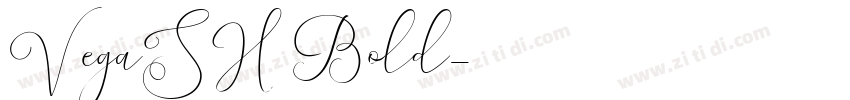 VegaSH Bold字体转换